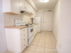 Image ViT 83912