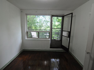 Image ViT 85115