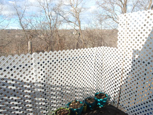 1 Bedroom apartment for rent in EAST YORK 