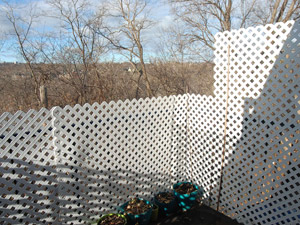 1 Bedroom apartment for rent in EAST YORK 