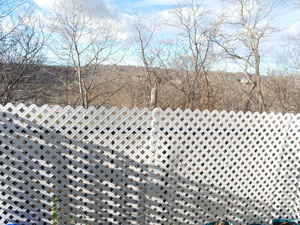 1 Bedroom apartment for rent in EAST YORK 