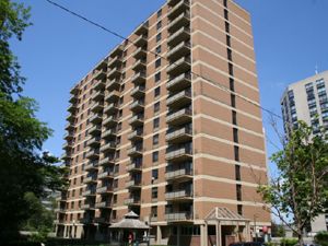 Image ViT 85840