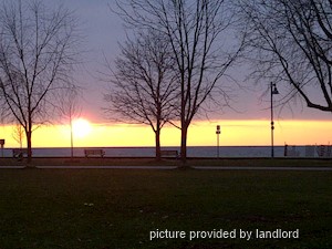 1 Bedroom apartment for rent in TORONTO 