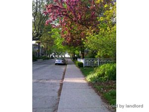 Image ViT 86234