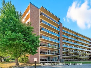 Image ViT 89535