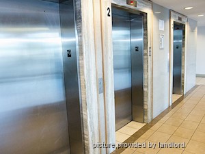 2 Bedroom apartment for rent in  