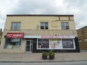 1 Bedroom apartment for rent in RICHMOND HILL 