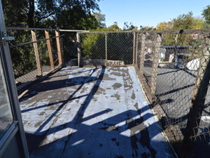 3+ Bedroom apartment for rent in TORONTO