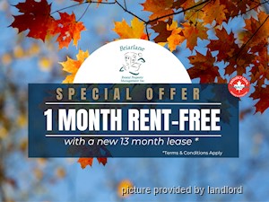 1 Bedroom apartment for rent in TORONTO