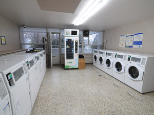 Room / Shared apartment for rent in TORONTO