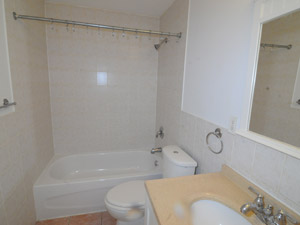1 Bedroom apartment for rent in TORONTO    