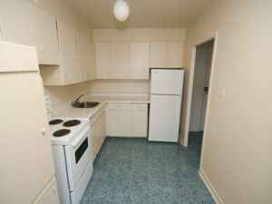 1 Bedroom apartment for rent in    