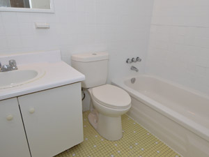 1 Bedroom apartment for rent in ETOBICOKE  