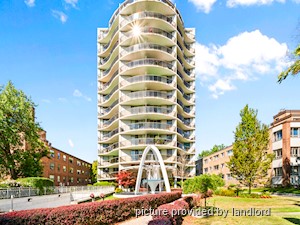 3+ Bedroom apartment for rent in 