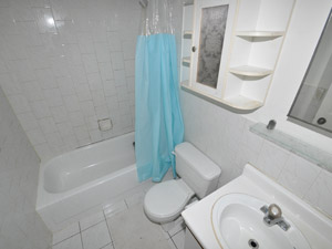 1 Bedroom apartment for rent in TORONTO  