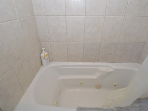 3+ Bedroom apartment for rent in TORONTO